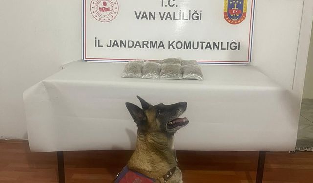 Van'da yol kontrolünde uyuşturucu ele geçirildi