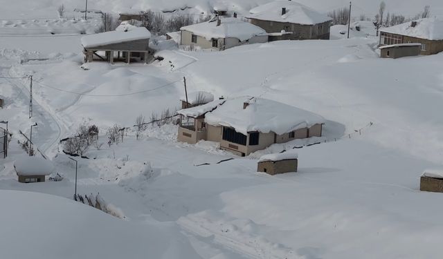 Hakkari'de kar yağışı: 229 yerleşim yerinin yolu kapandı