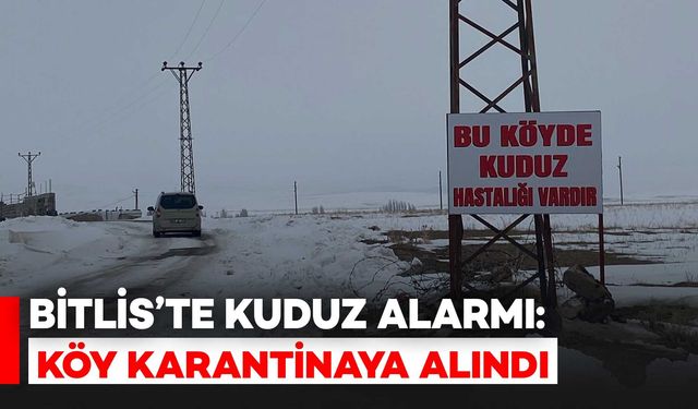 Bitlis'te Kuduz Alarmı: Köy Karantinaya Alındı