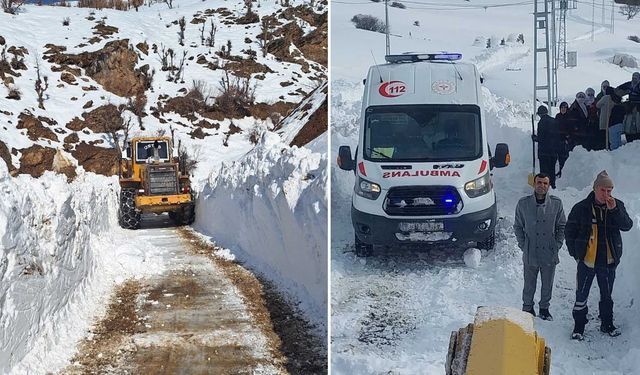 Bitlis’te Karla Mücadele Seferberliği Sürüyor