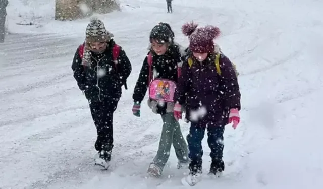 Kar yağışı nedeniyle eğitime ara verilen iller açıklandı