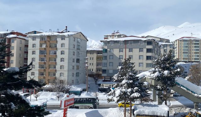 Bitlis’te bir yılda 4 bin 866 konut satışı yapıldı