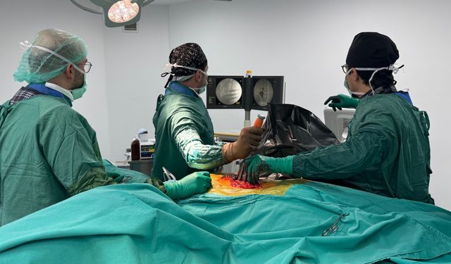 Bölgede ilk defa Bitlis Devlet Hastanesi’nde kapalı yöntem omurga ameliyatı yapıldı