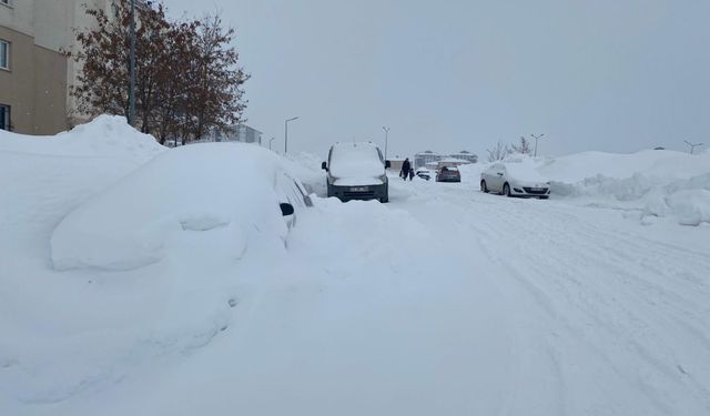Bitlis’te kar hayatı zorlaştırıyor: 124 köy yolunda ulaşım yok