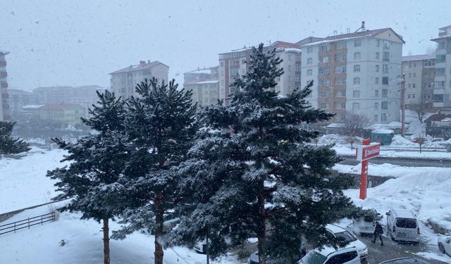 Bitlis’te Kar Yağışı Etkili Oldu