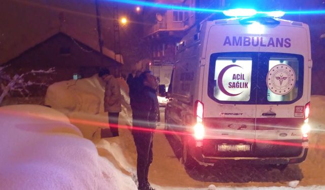 Bitlis’te Çığ Altında Kalan 2 Vatandaş Kurtarıldı