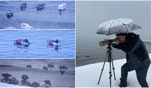 Tatvan’da Kış Ortasında Kuş Akını
