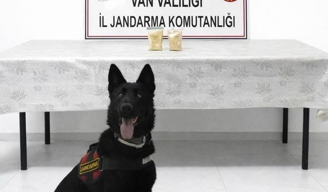 Van'da yol kontrolünde 510 gram eroin ele geçirildi