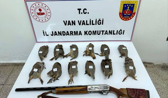 Van’da keklik avlayan kişiye 81 bin TL ceza