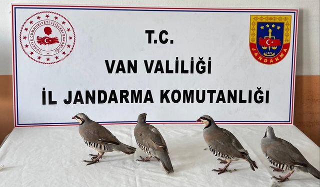 Van'da 4 Keklik Ele Geçirildi
