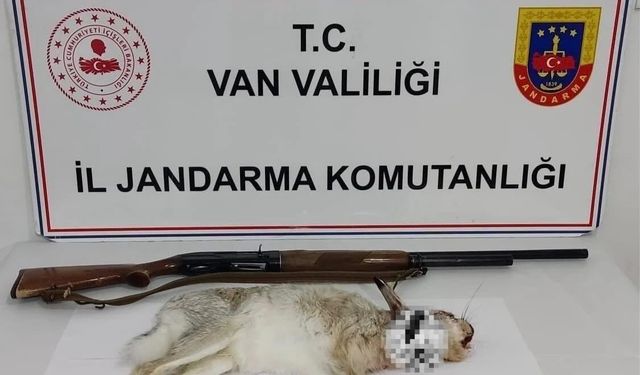 Van’da tavşan avlayan şahsa 29 bin TL ceza