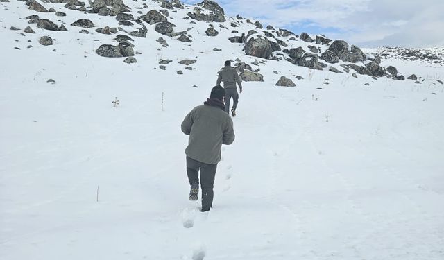 Muş’ta Kaçak Avcılığa Geçit Yok