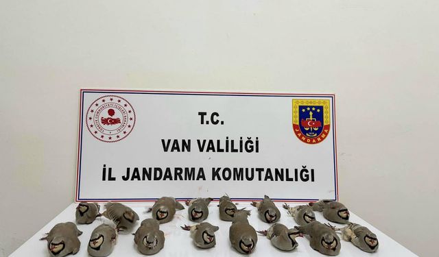 Van’da Kaçak Keklik Avına Ceza