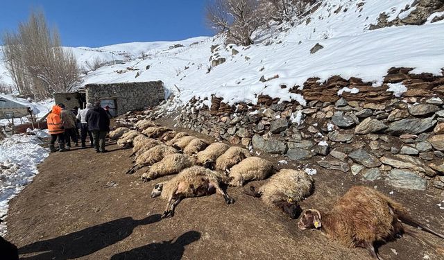 Van'da Ahır Yangını: 67 Küçükbaş Hayvan Telef Oldu