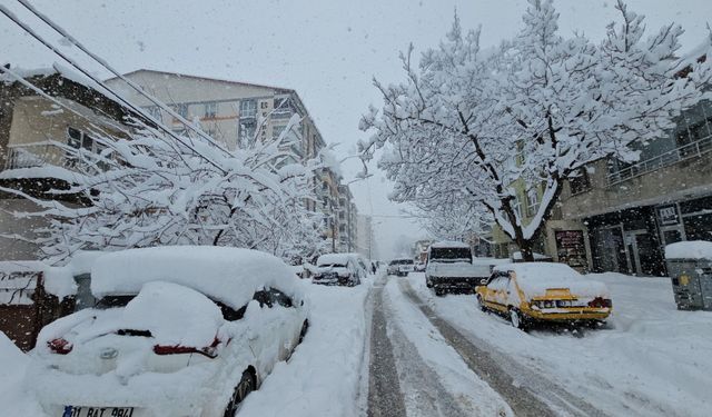 Tatvan’da Kar Kalınlığı 1 Metreyi Buldu
