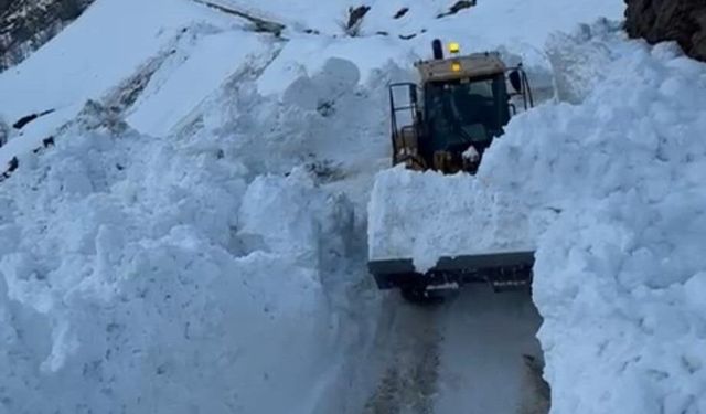 Bitlis'te köy yoluna çığ düştü
