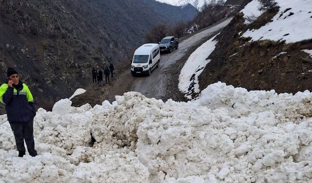 Van'da çığ düştü: 1 mahalle ve 8 mezraya ulaşımı sağlanamıyor