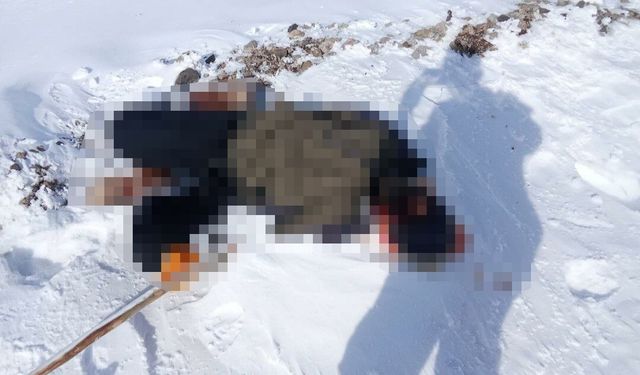 Van'da Kırsal Alanda Erkek Cesedi Bulundu