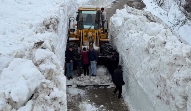 Van'da yola çığ düştü