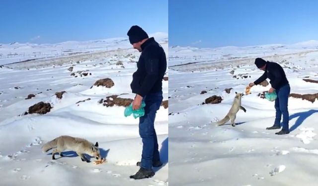 Bitlis'te İşçilerden Tilkiye Şefkat Eli