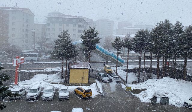 Bitlis'te kar yağışı etkili oluyor
