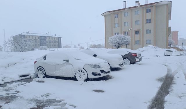 Bitlis'te mart ayının son günlerinde kar yağışı etkili oluyor