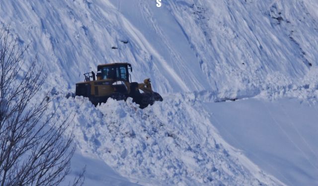 Bitlis'te mart ayında karla mücadele çalışmaları sürüyor