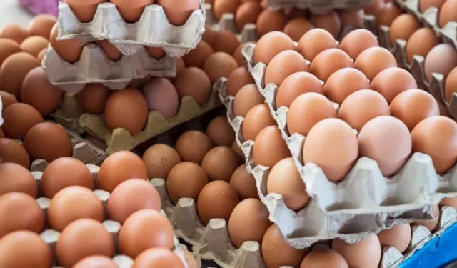 Yumurta fiyatlarında sert düşüş: 30’lu koli 100 TL’ye kadar geriledi