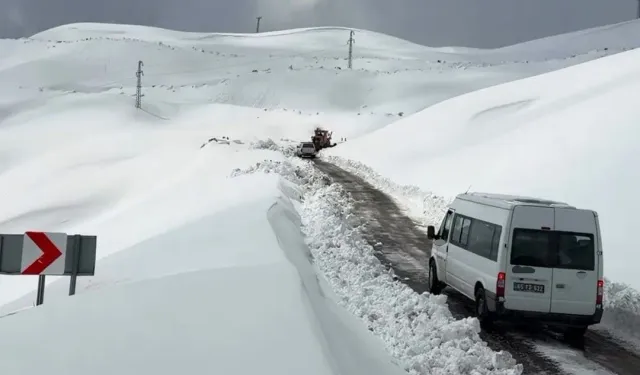 Çığ nedeniyle kapanan Bahçesaray-Hizan yolu ulaşıma açıldı