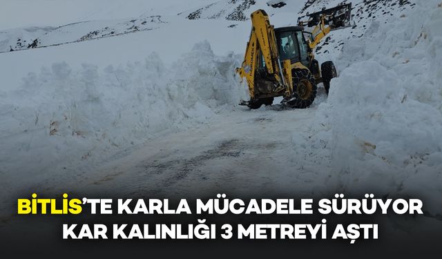 Bitlis'te Karla Mücadele Sürüyor: Kar Kalınlığı 3 Metreyi Aştı