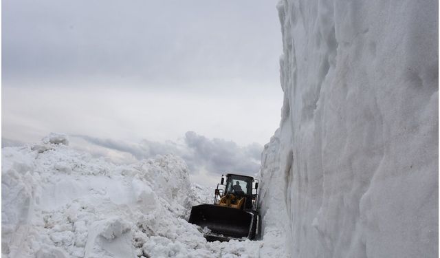 Görüntüler Sibirya'dan Değil, Bitlis'ten: Bu Sezon Yağan Kar Miktarı 9,5 Metreye Ulaştı