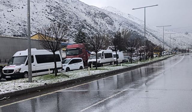 Bitlis'teki kazalar kilometrelerce araç kuyruğu oluşturdu