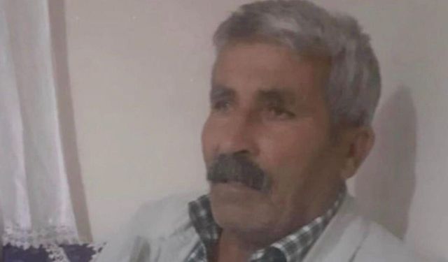 Diyarbakır’da  İneğinin peşinden giderken hayatını kaybetti