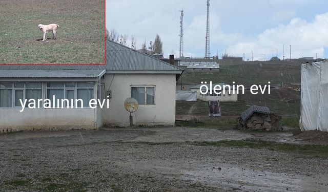 Van’da Köpek Saldırısının Görüntüleri Ortaya Çıktı