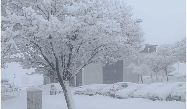 Bitlis’te Mevsimin Adı Bahar, Yaşamın Adı Kış