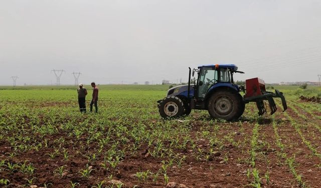 Tarımsal destek ödemesi çiftçilerin hesaplarına aktarılıyor