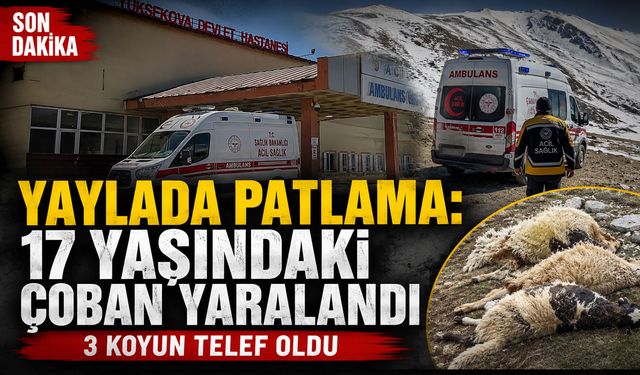 Yaylada Patlama: Bir Çoban Yaralandı, 3 Koyun Telef Oldu