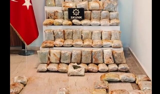 Bitlis'in Komşu İlinde Durdurulan Araçta 60 Kilo Skunk Ele Geçirildi