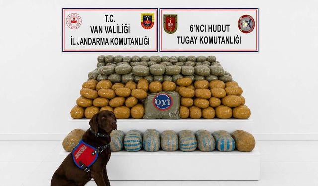 Van'da Jandarmadan Uyuşturucu Operasyonu: 291 Kilo Esrar Ele Geçirildi