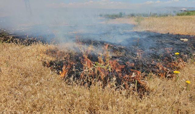 Bitlis'te Otluk Alanda Çıkan Yangın Paniğe Neden Oldu