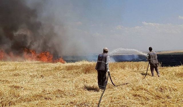 Diyarbakır'da Yüzlerce Dönümlük Arazi Alevlere Teslim Oldu