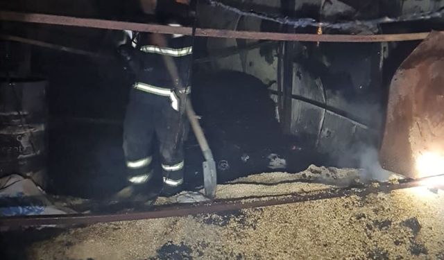 Hobi bahçesindeki yangında 3 at telef oldu