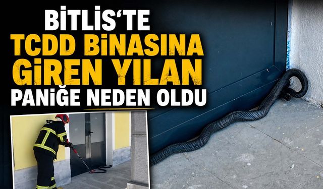 Bitlis'te TCDD Binasına Giren Yılan Paniğe Neden Oldu