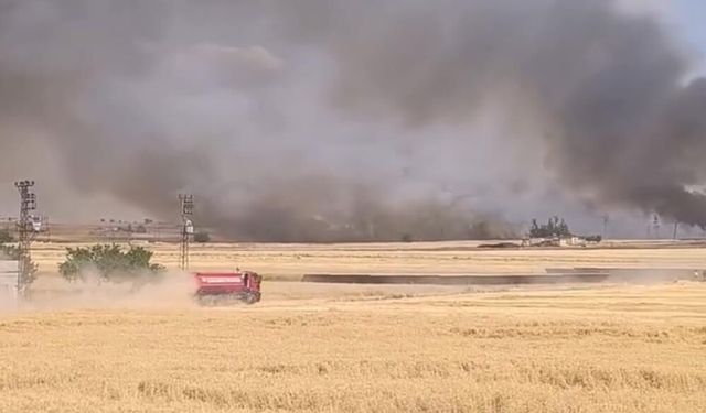 Diyarbakır'da buğday tarlası yangını: 30 dönüm kül oldu