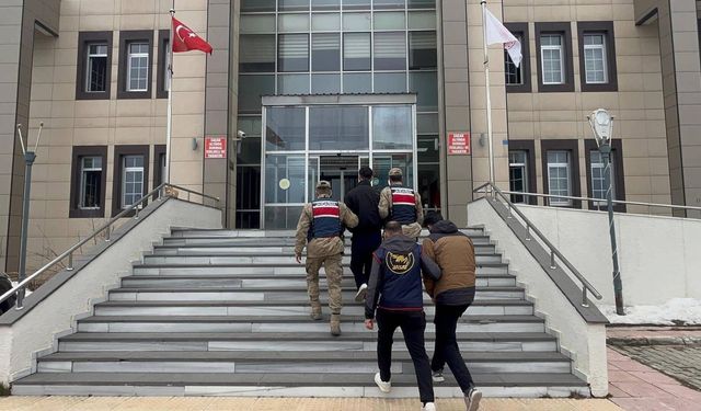 Bitlis’te 2 ayda 135 göçmen yakalandı: 19 organizatör tutuklandı