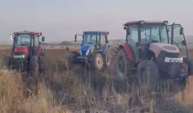 Mısır tarlası faciayı önledi: Buğday tarlası kül oldu