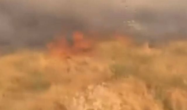 Siirt’te 50 dönüm buğday kül oldu