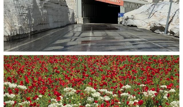 Van'da aynı gün iki mevsim: Ovada yaz; Karabet'te kış