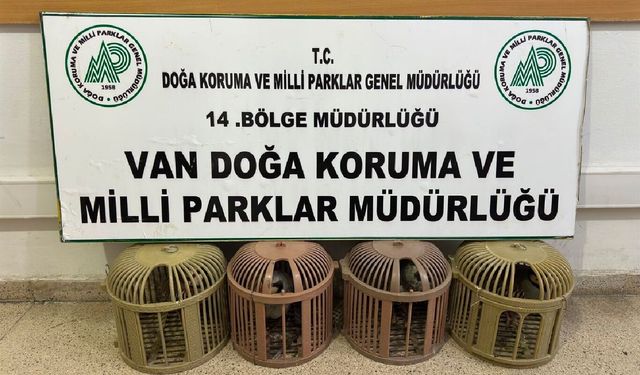 Van'da yasa dışı avcılığa 51 bin TL ceza