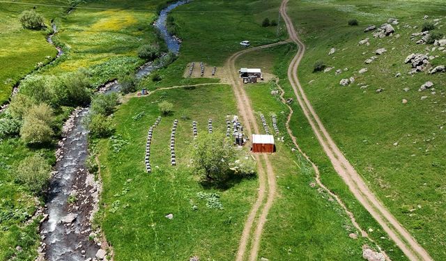 Yaylalarda arıcılık hareketlendi: Bal sezonu geç açıldı